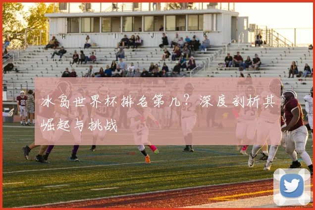 冰岛世界杯排名第几?深度剖析其崛起与挑战