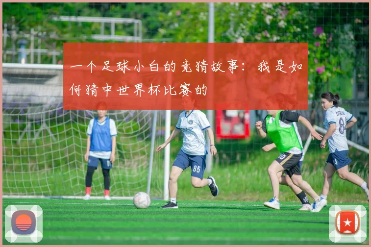 一个足球小白的竞猜故事:我是如何猜中世界杯比赛的