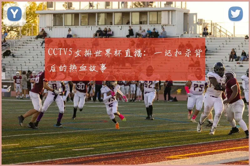 CCTV5女排世界杯直播:一记扣杀背后的热血故事