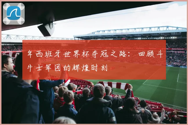 年西班牙世界杯夺冠之路：回顾斗牛士军团的辉煌时刻