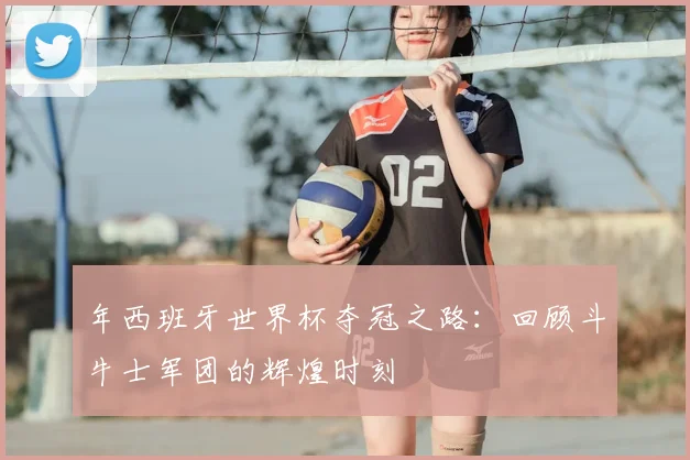 年西班牙世界杯夺冠之路：回顾斗牛士军团的辉煌时刻