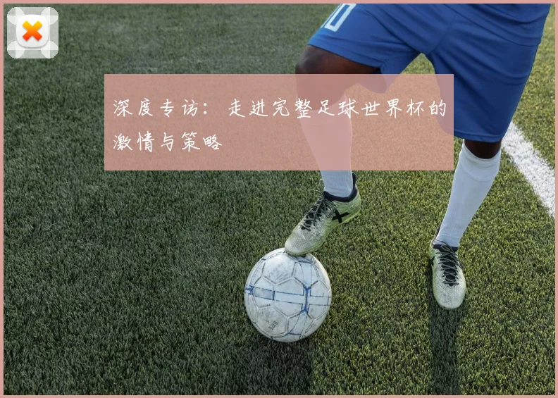 深度专访：走进完整足球世界杯的激情与策略