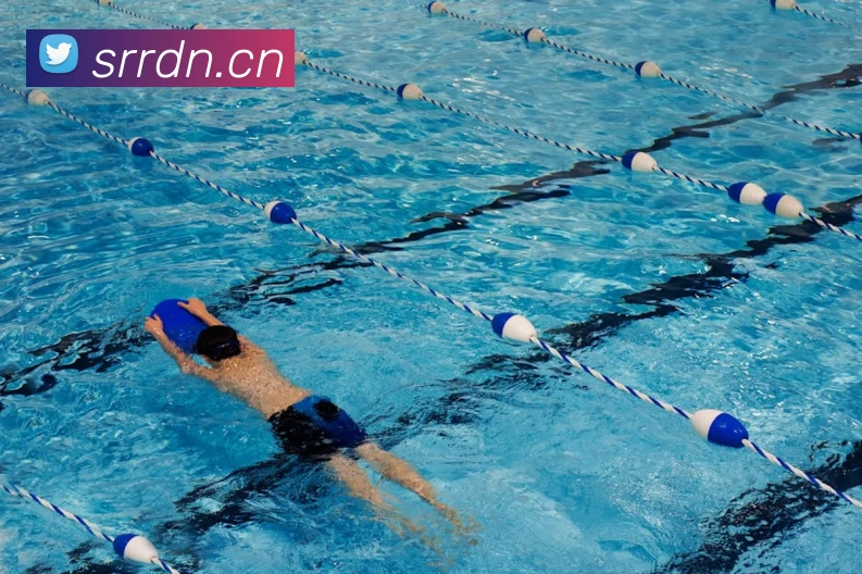 App Interface Preview